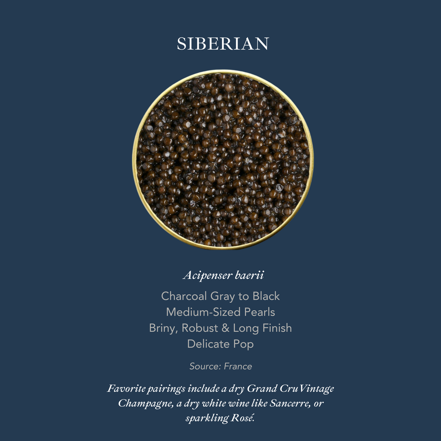 2x 100g Siberian & Amber Oscietra GLWD Gift Box