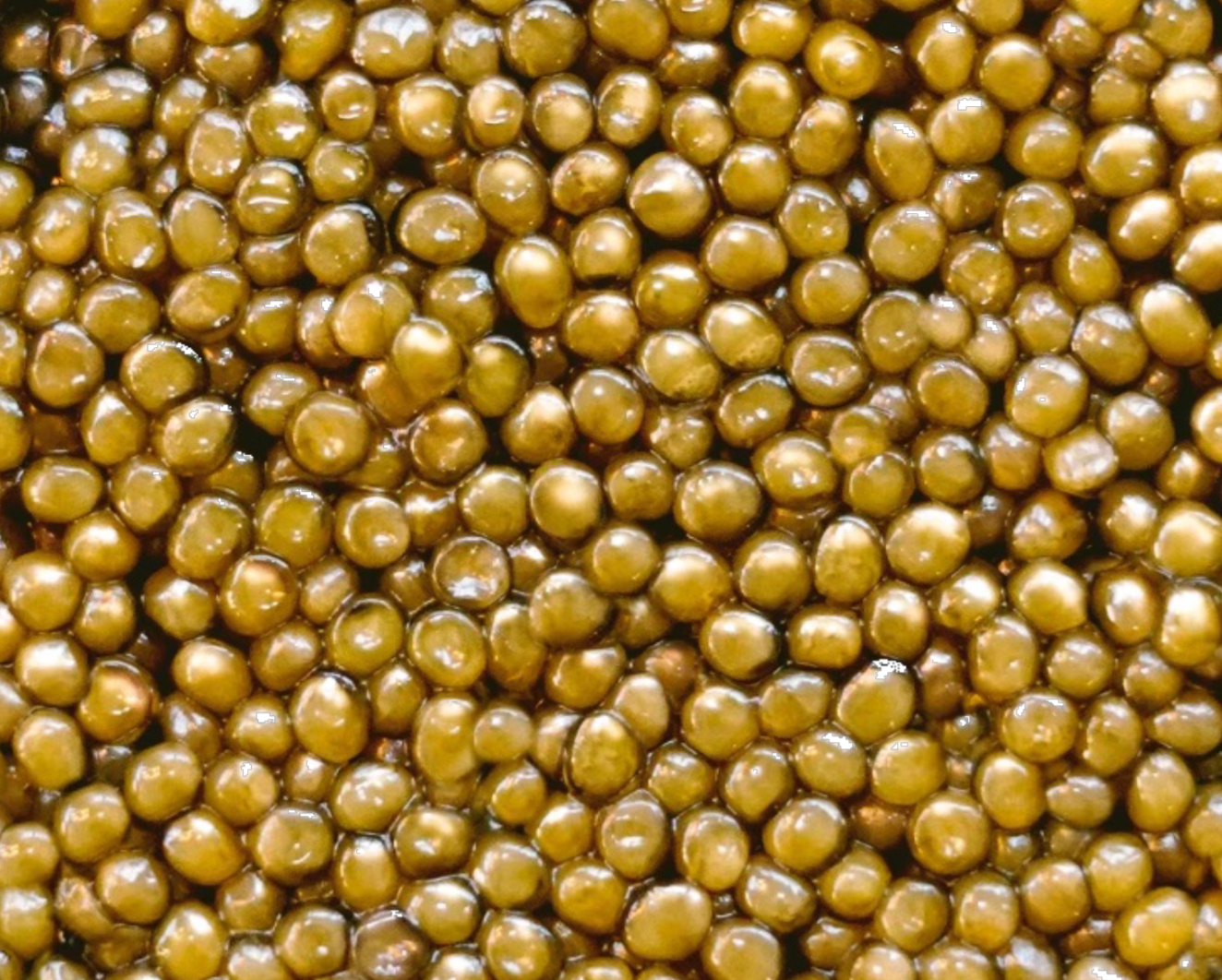 Gold Reserve | Oscietra Caviar