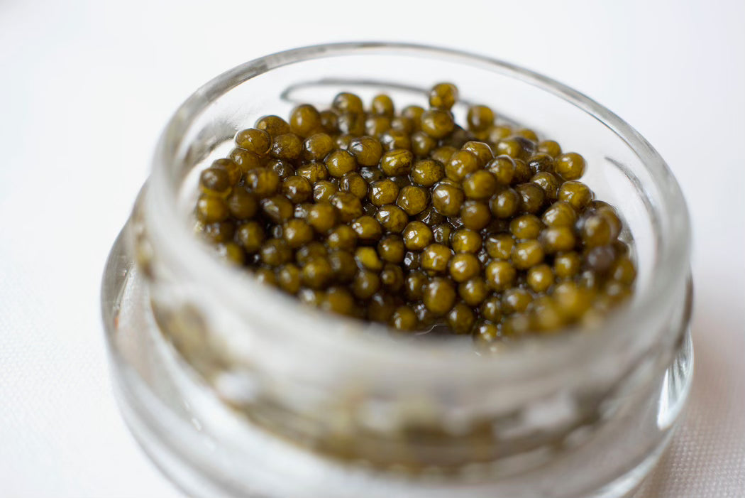 Amber | Oscietra Caviar