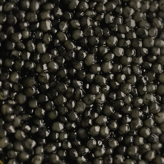 Oscietra de la Sombra Caviar | World Cup Edition
