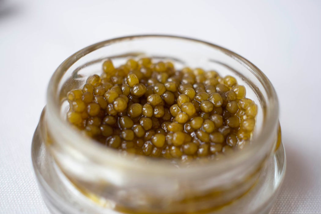 Gold Reserve | Oscietra Caviar