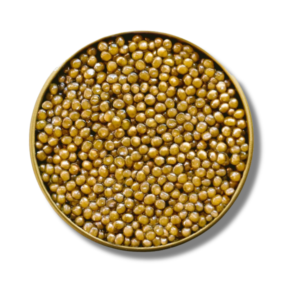 Gold Reserve | Oscietra Caviar