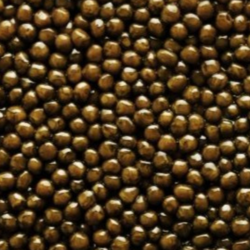 Kaluga Hybrid Caviar
