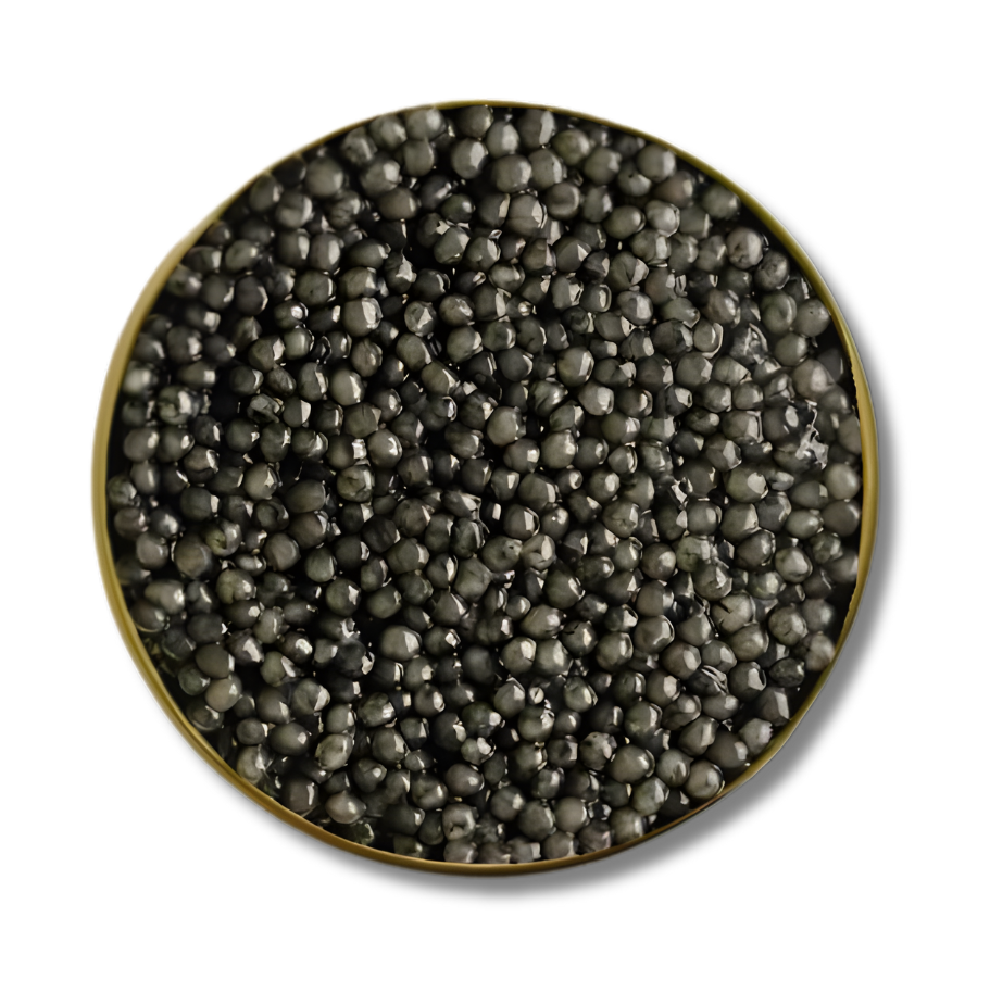 Platinum | Oscietra Caviar